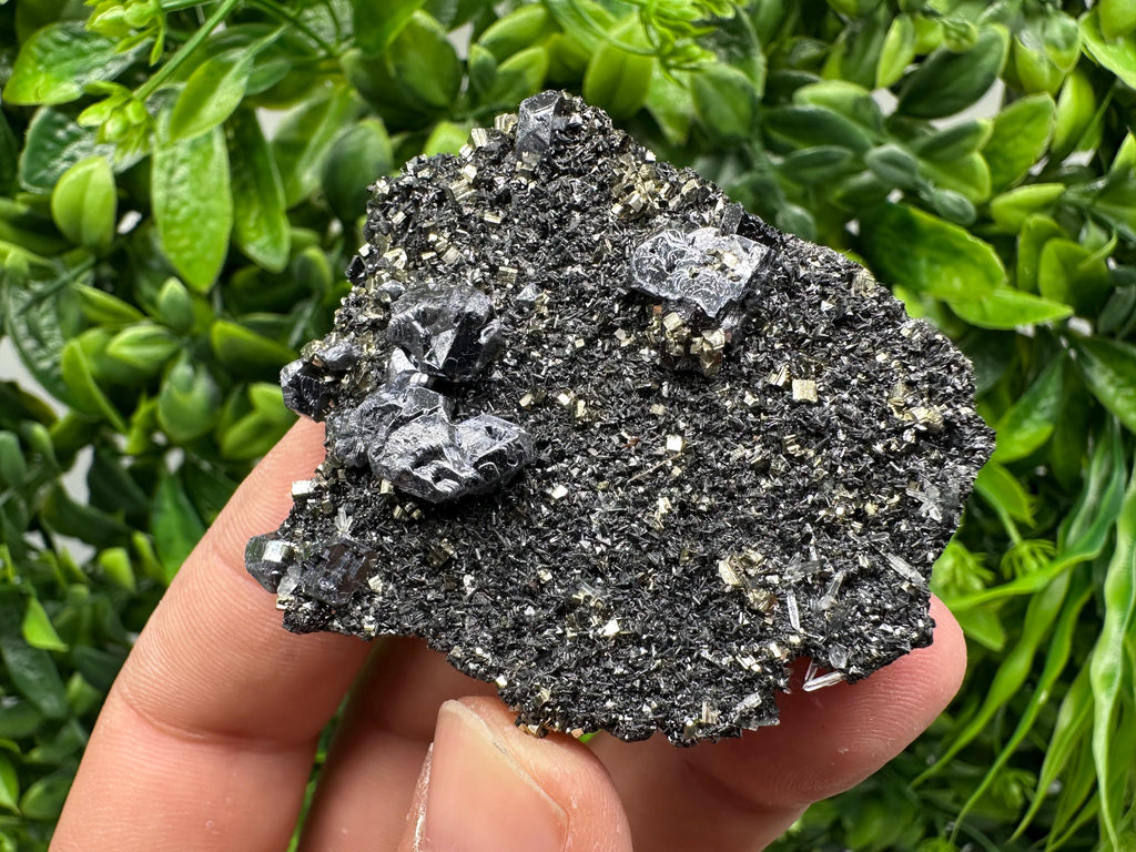 Galena Sphalerite Pyrite Crystal, Borieva Mine, Bulgaria