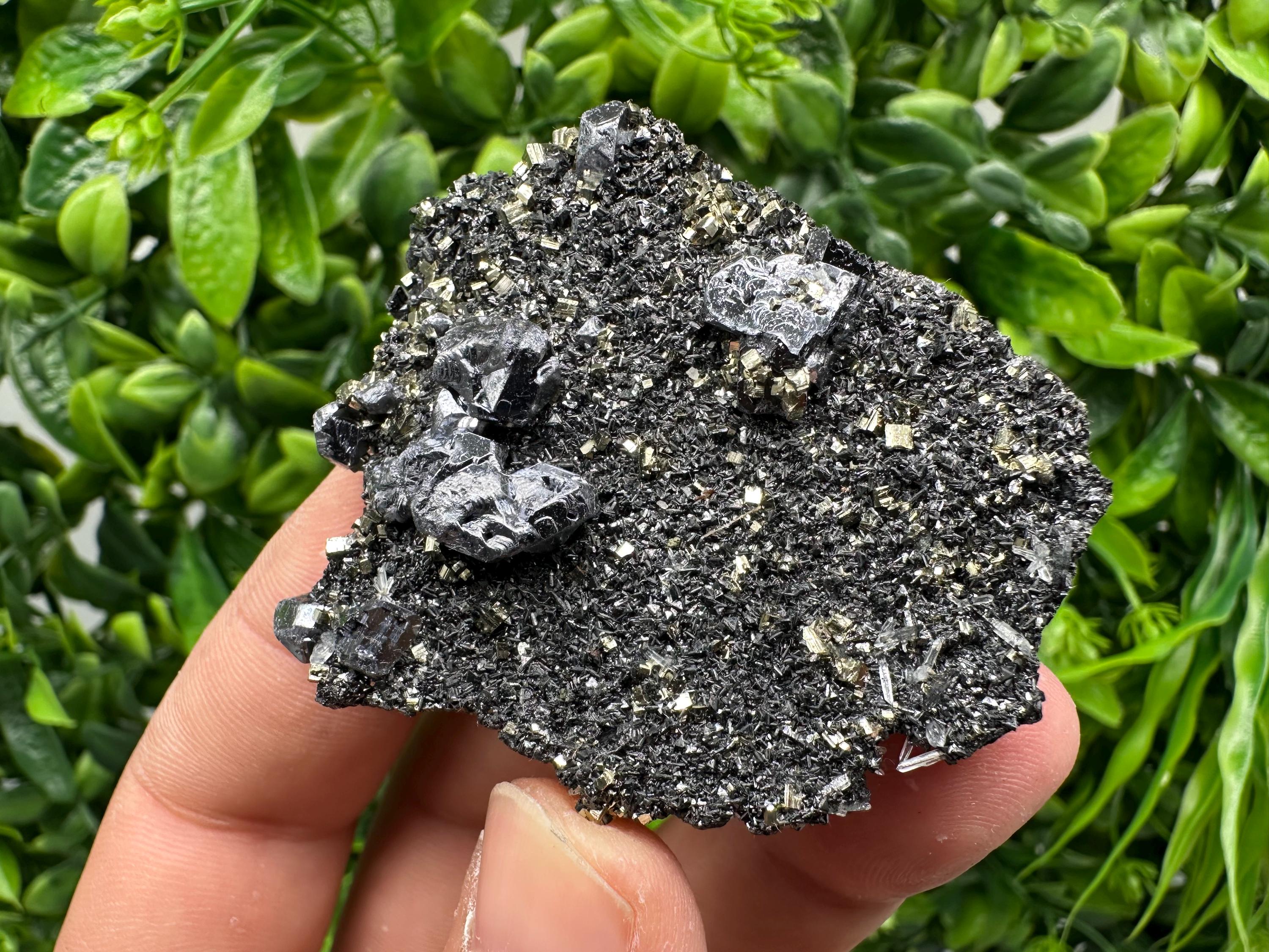 Galena Sphalerite Pyrite Crystal, Borieva Mine, Bulgaria