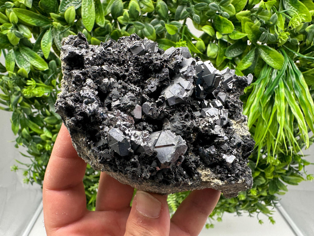 Galena Spinel on Sphalerite, Borieva Mine Mineral Specimen, Bulgaria