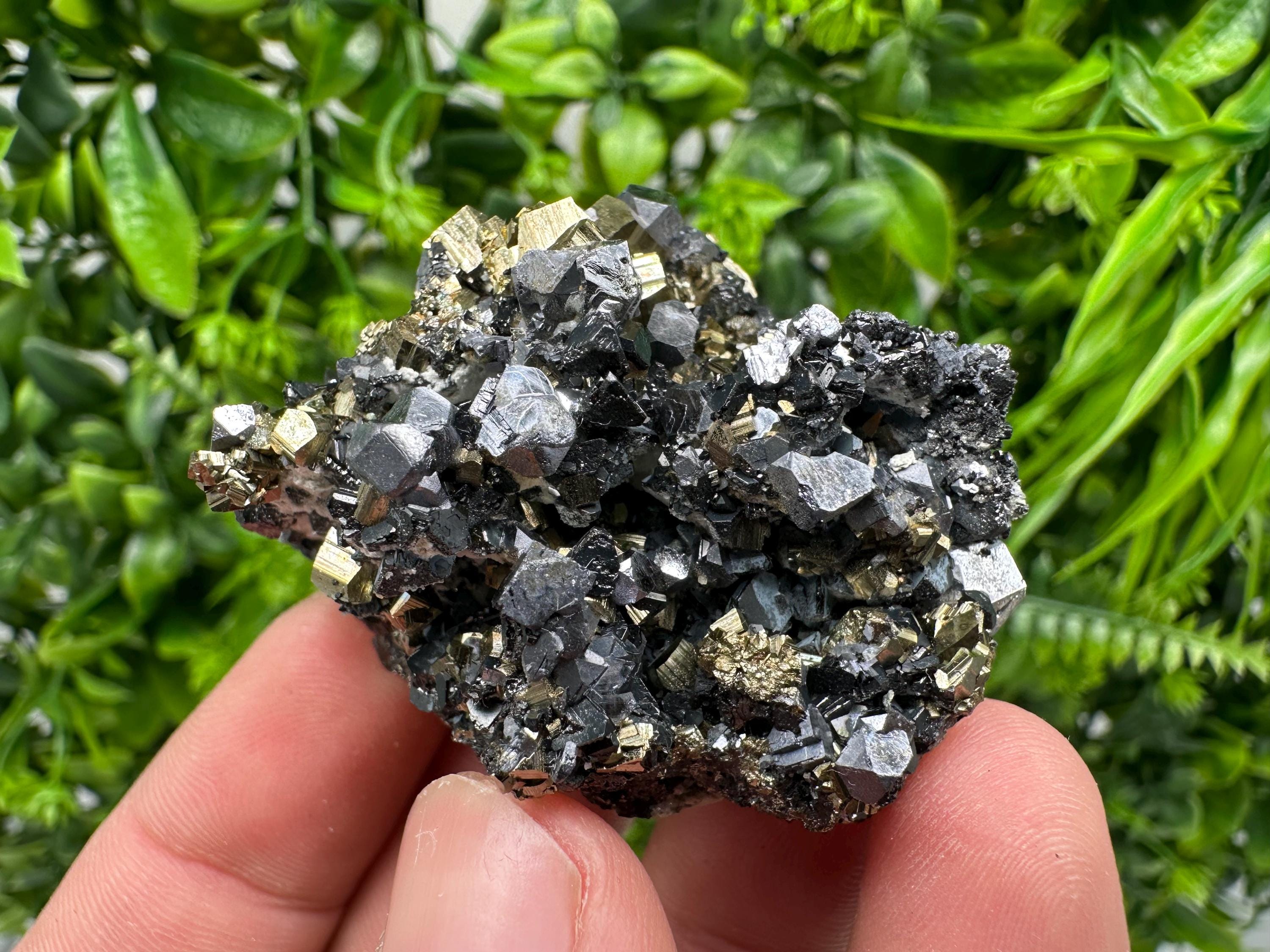 Galena on Pyrite Mineral Specimen, Borieva Mine, Bulgaria