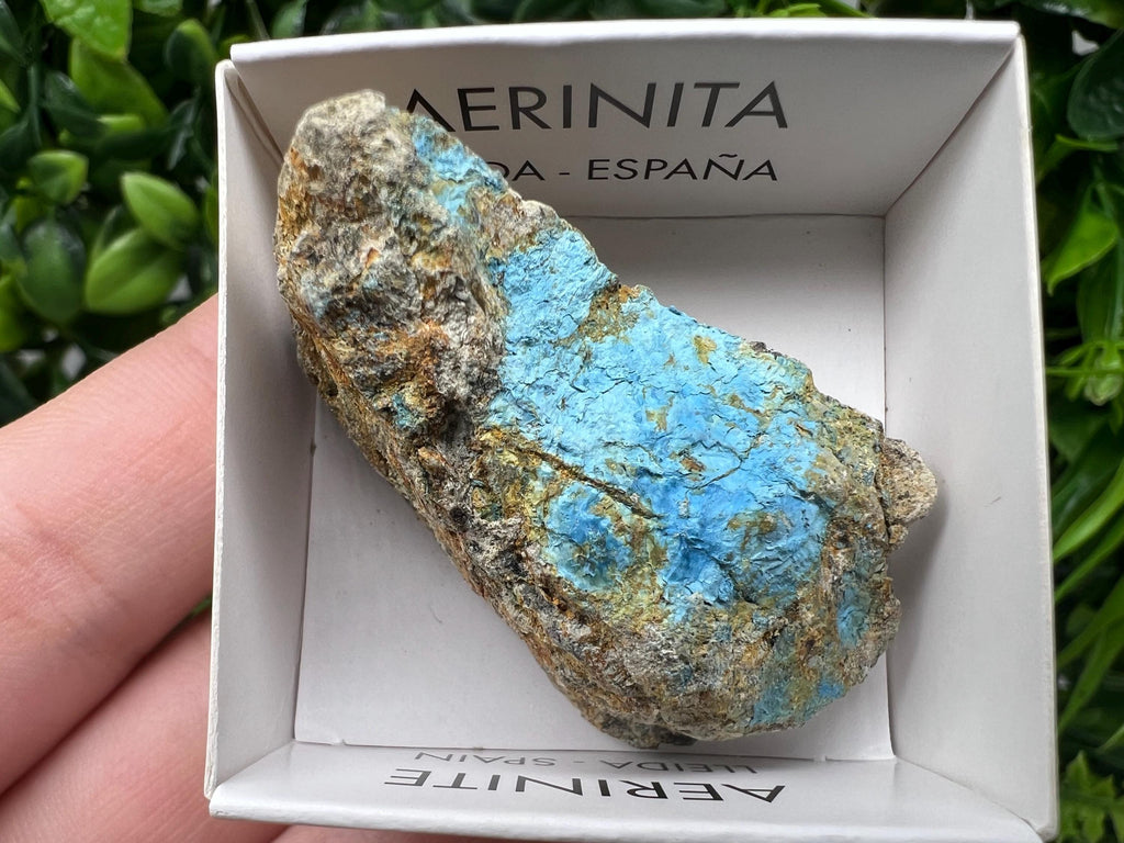 Rare Raw Aerinite Mineral Specimen: Lleida, Spain Crystal Collection