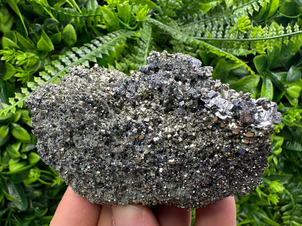 Galena on Pyrite Specimen: Borieva Mine, Bulgaria