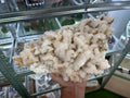 Stunning uv fluorescent Calcite natural minerals souvenir crystal home decor stone gift minerals collection calcite cluster Borieva Bulgaria