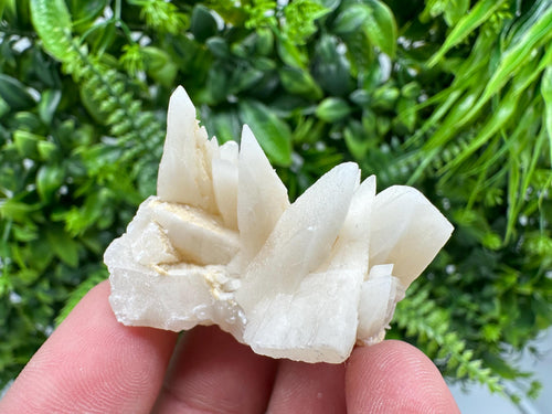 Calcite on Aragonite: Djurcovo Mine, Bulgaria Healing Crystal