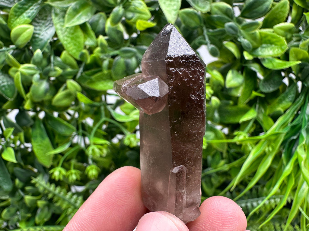 Rare Smoky Quartz Crystal Specimen, Brazil