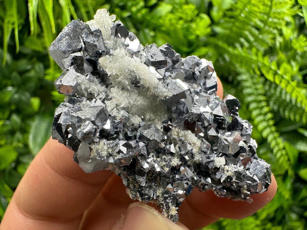 Skeletal Galena on Quartz: Natural Mineral Specimen, Borieva Mine