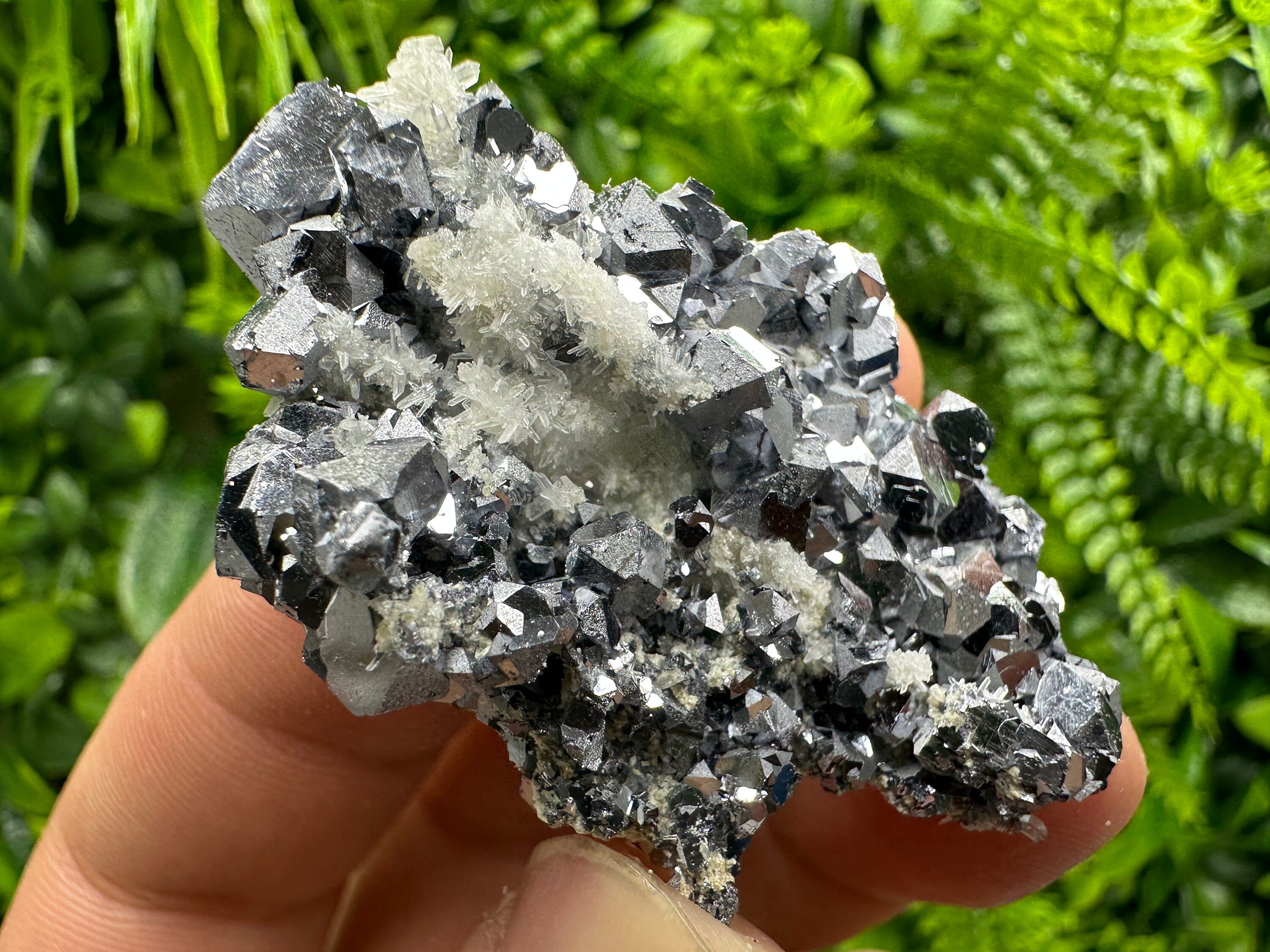 Skeletal Galena on Quartz: Natural Mineral Specimen, Borieva Mine