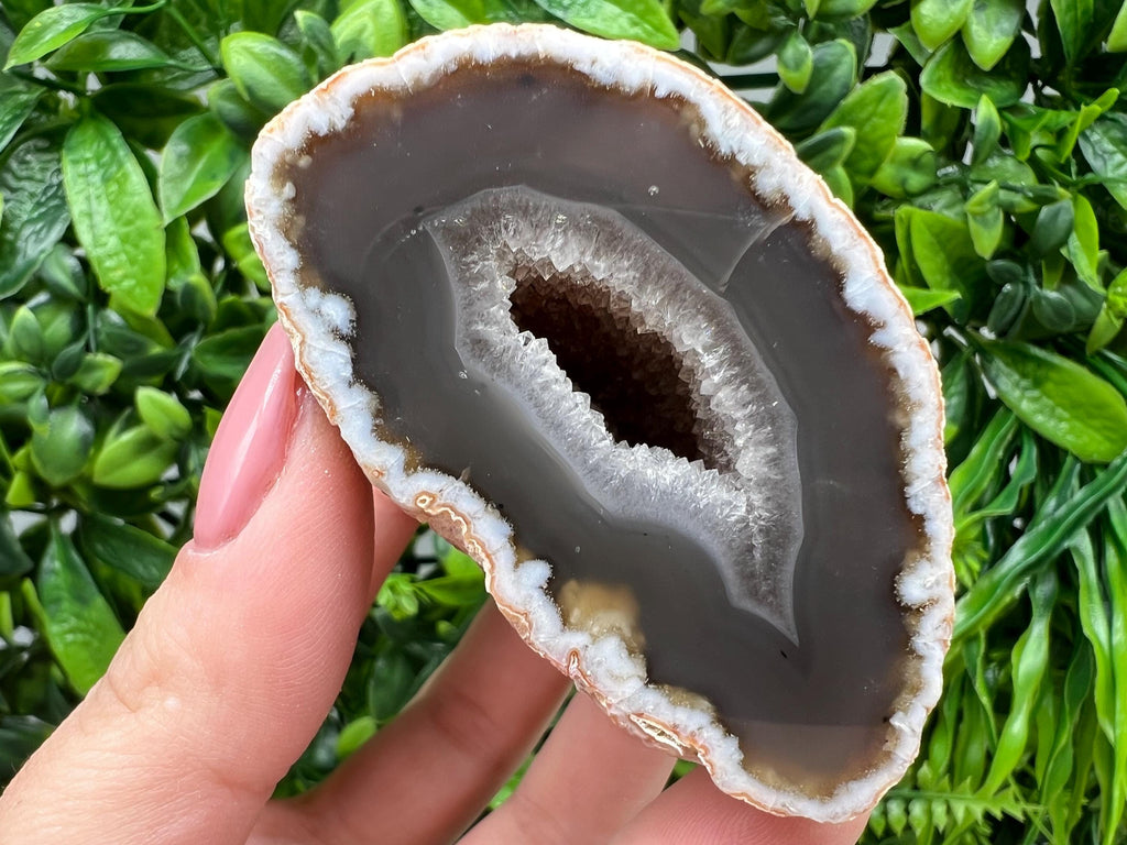 Natural Agate Druzy Geode, Quartz Crystal