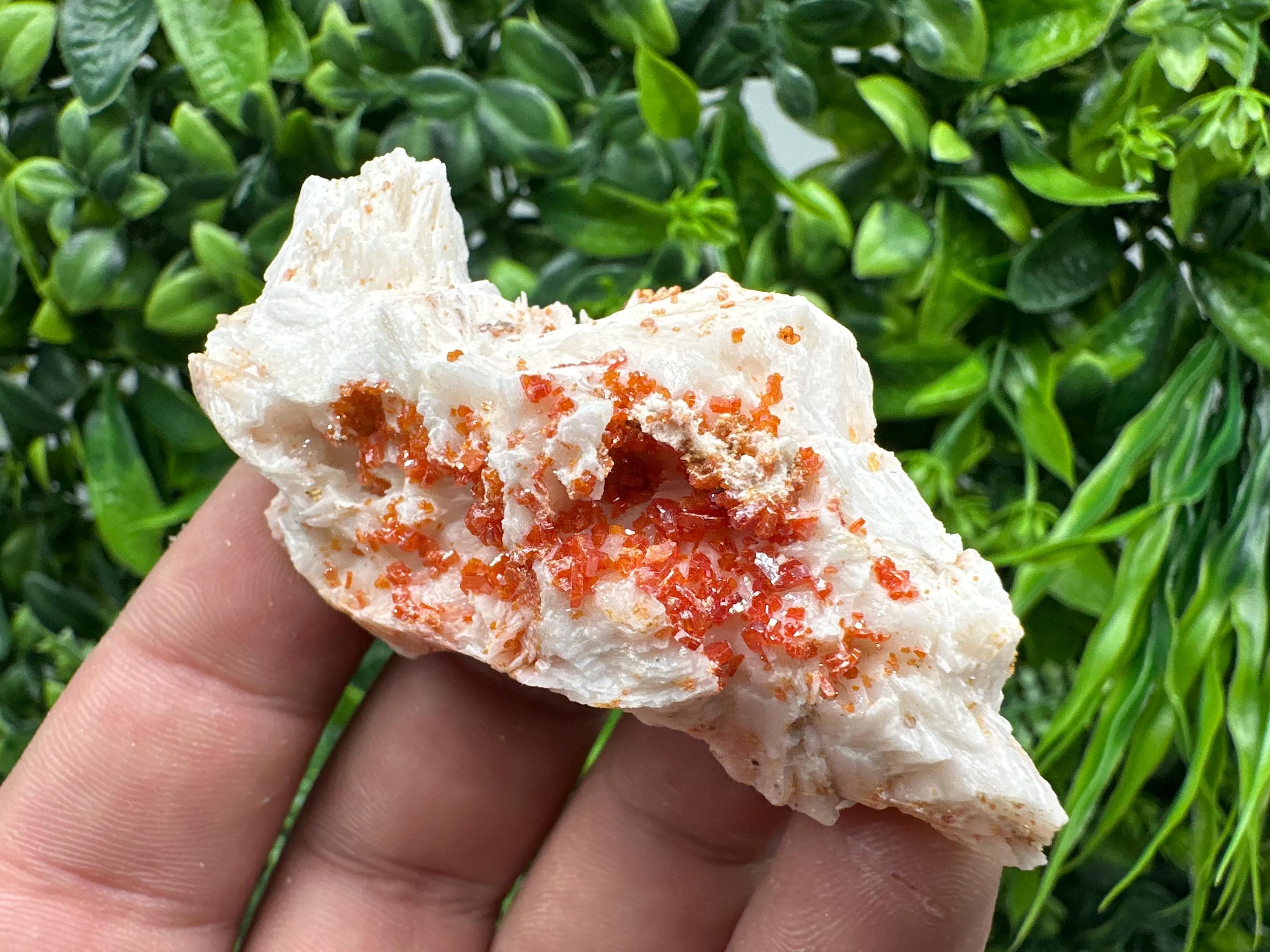 Red Vanadinite on Barite, Moroccan Crystal Mineral Specimen