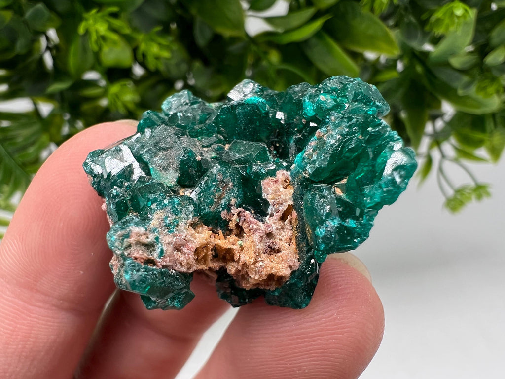 Stunning Green Dioptase from Sanda Hills,Mindouli,Pool Department,Mindouli District,Congo,green Dioptase,Dioptas Crystal,Dioptase collecting