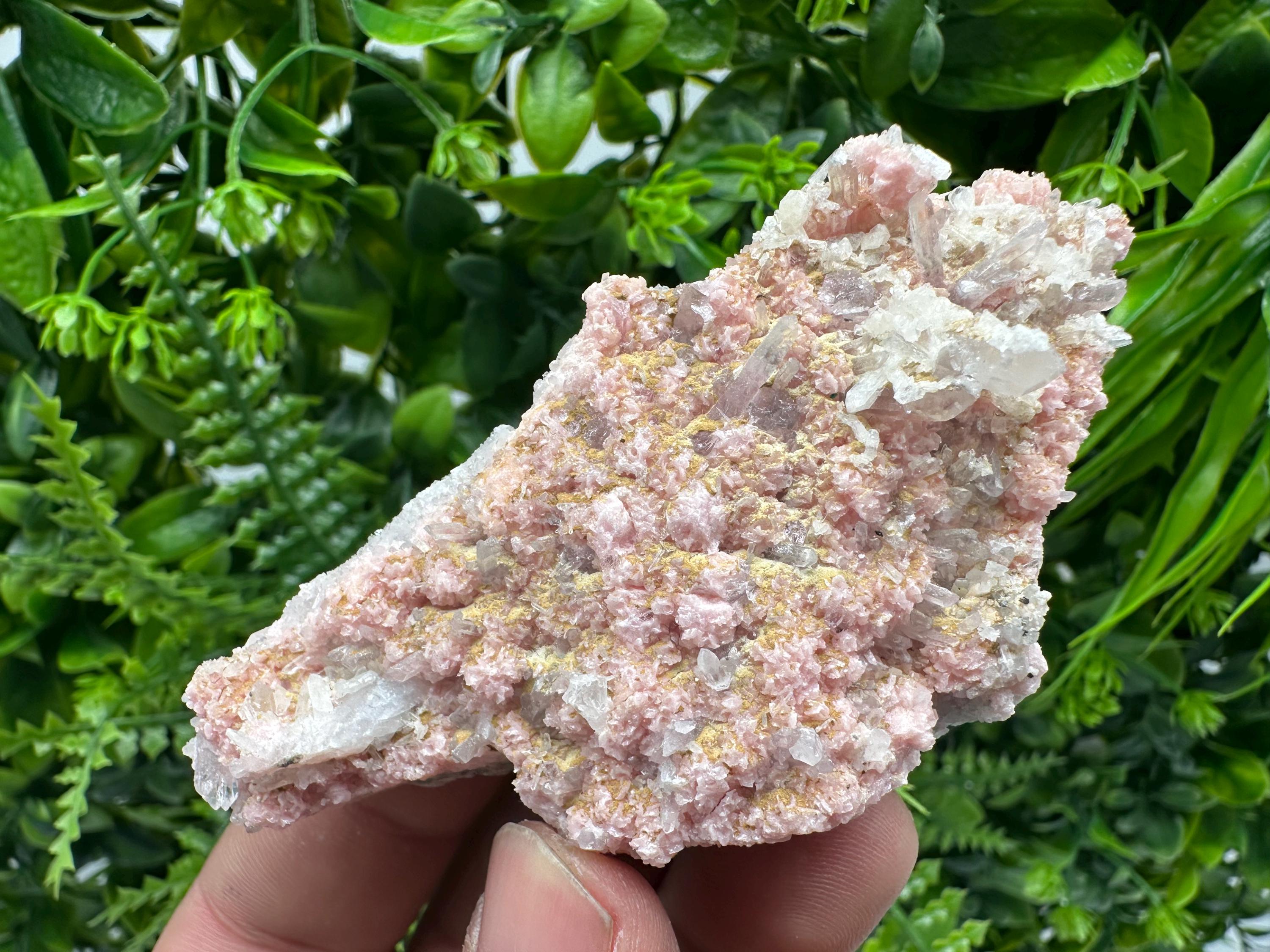 Rhodochrosite on Quartz: Pink Crystal Home Decor, Bulgaria Mineral Souvenir