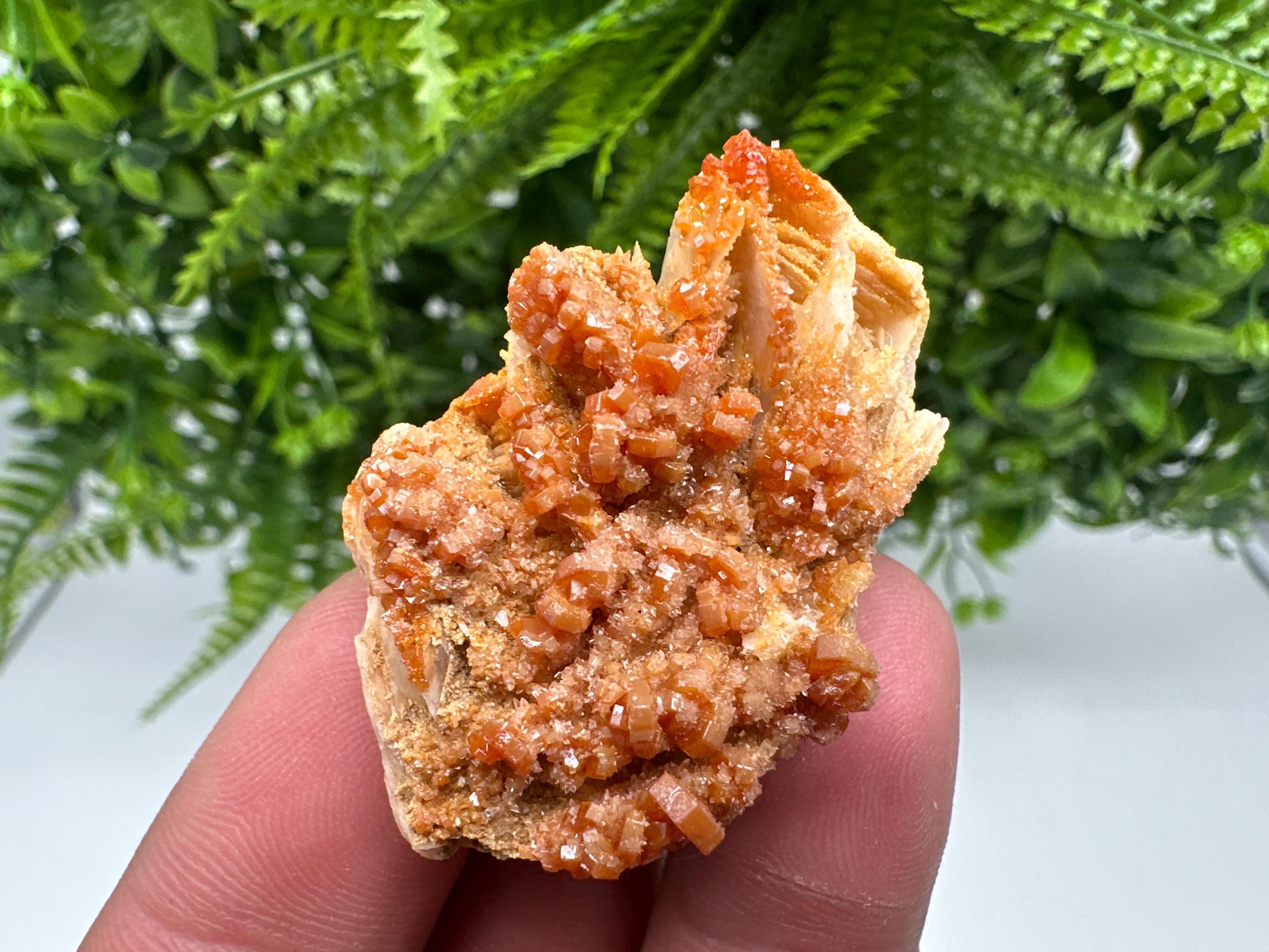 Red Vanadinite on Barite Specimen, Morocco Crystal Cluster