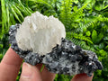 Calcite on Galena, Sphalerite & Quartz, Borieva Mine Mineral Specimen