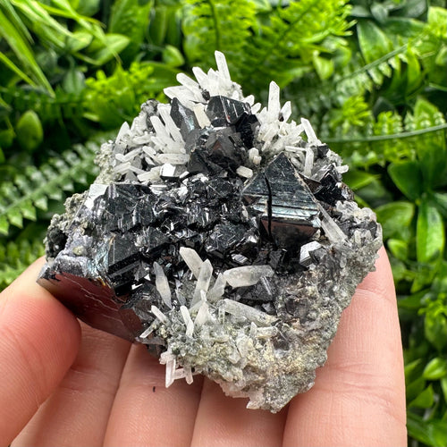 Borieva Sphalerite on Quartz: Rare Mineral Cluster