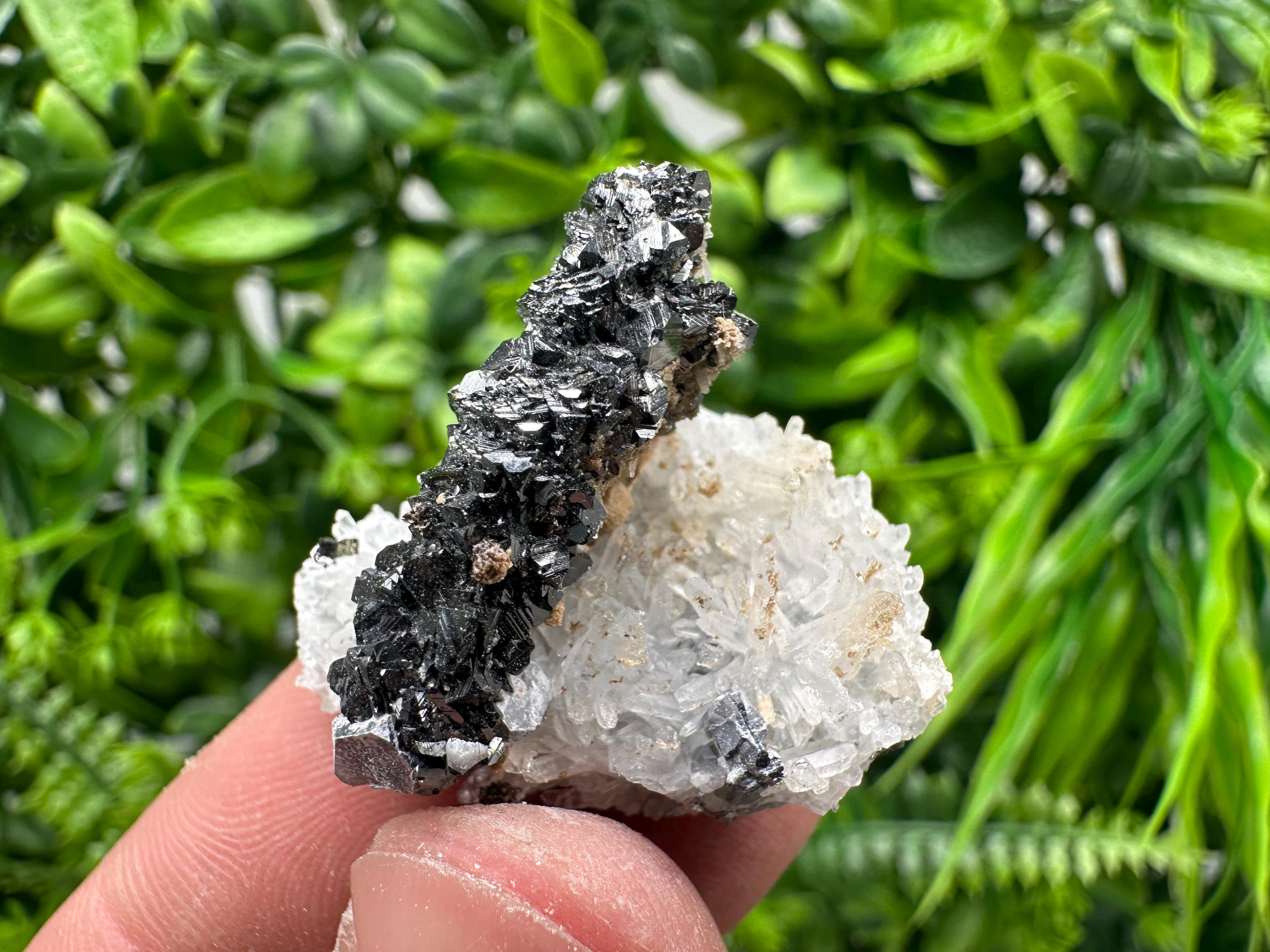 Sphalerite on Green Quartz, Borieva Mine Mineral Specimen
