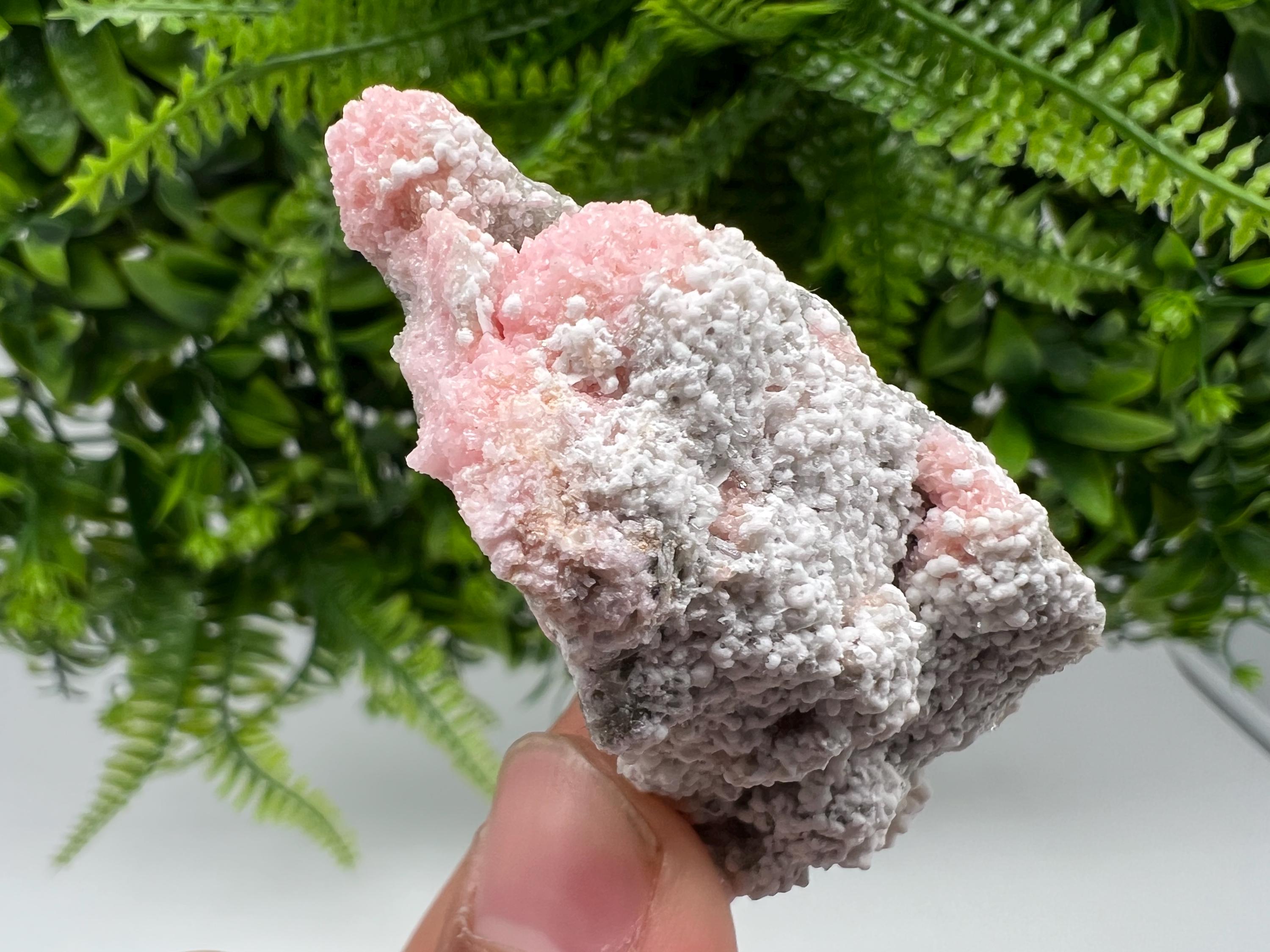 RARE Rhodochrosite with White Calcite, Starnica Mine Bulgaria