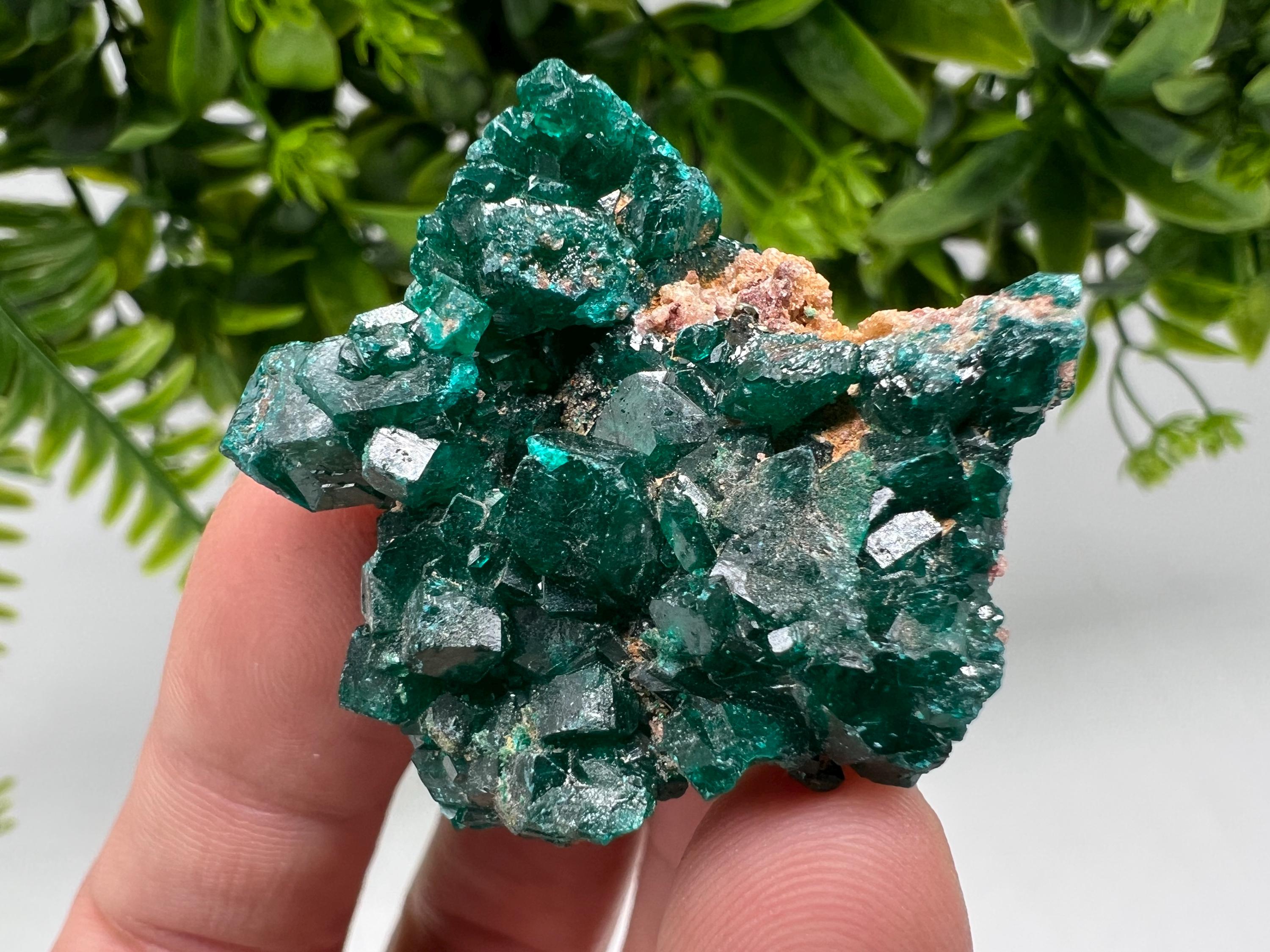 Stunning Green Dioptase from Sanda Hills,Mindouli,Pool Department,Mindouli District,Congo,green Dioptase,Dioptas Crystal,Dioptase collecting
