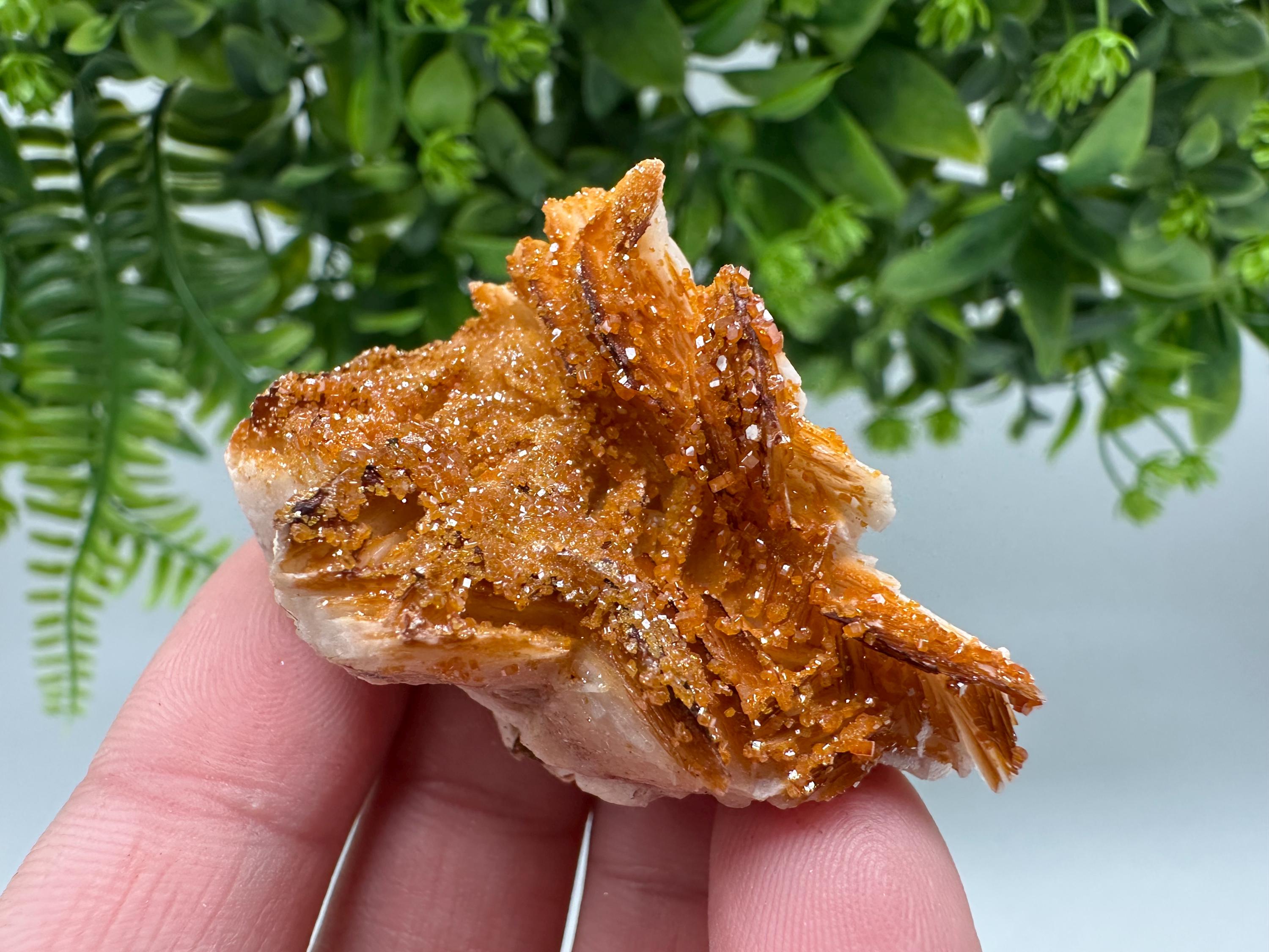 Red Vanadinite on Barite from Marocco,crystal minerals Speciment cluster Vanadinite crystal Vanadinite Geology Vanadinite cluster minerals