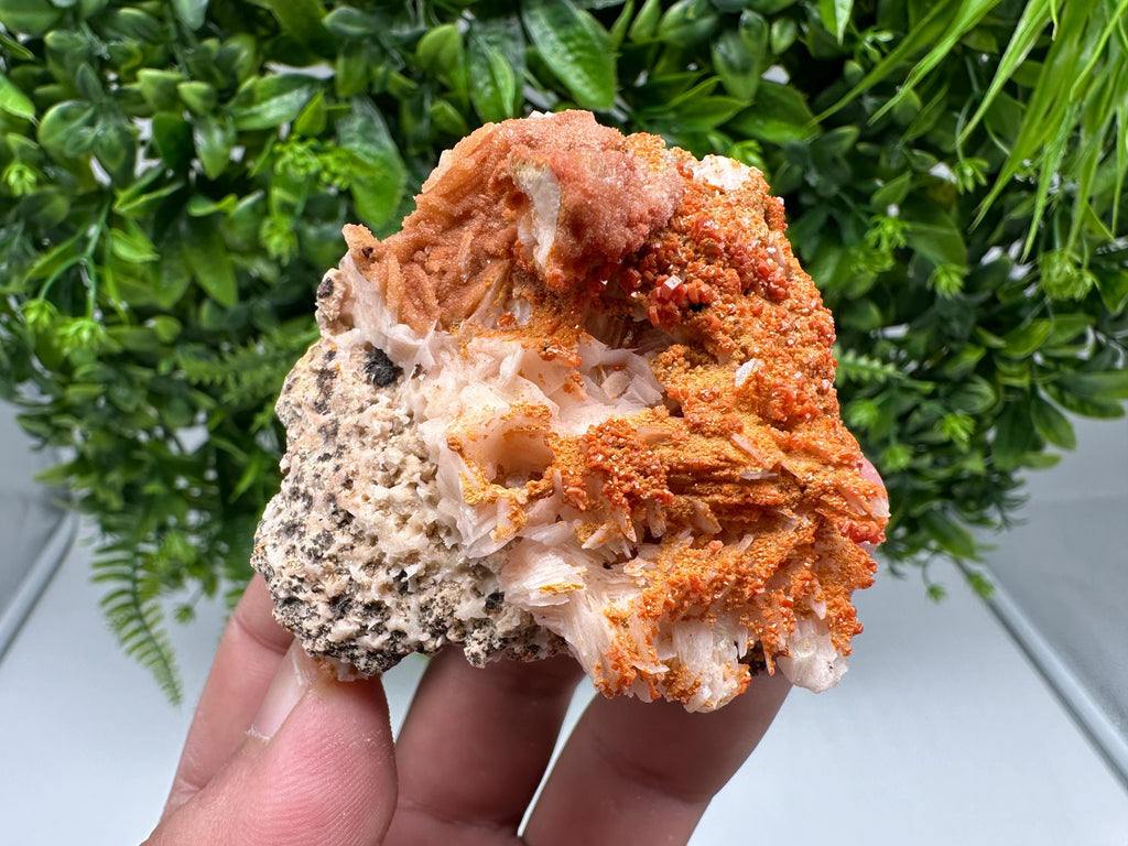 Red Vanadinite on Barite from Marocco,crystal minerals Speciment cluster Vanadinite crystal Vanadinite Geology Vanadinite cluster minerals