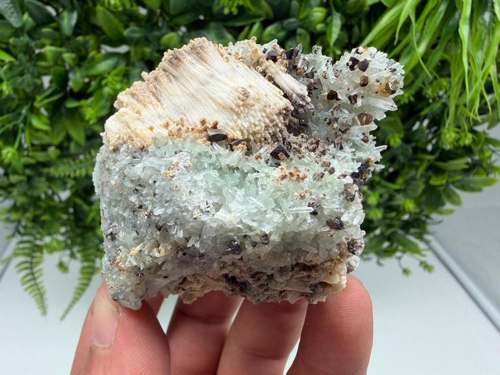 Calcite Chalcopyrite on Green Quartz Mineral Specimen, Bulgaria Collection, Natural Display