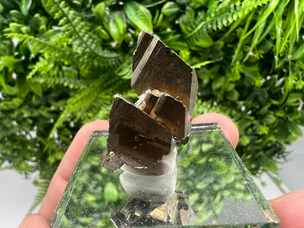 Mini Rare crystallisation Pyrite,Borieva mine,Bulgaria,floating Pyrite,golden Pyrite,Pyrite cluster,mini Collection specimen,Rainbow Pyrite