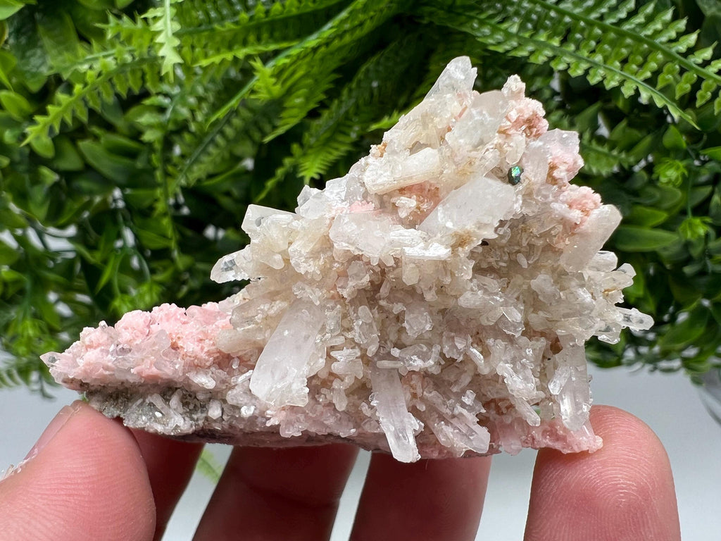 One beautiful cabinet size specimen of rhodochrosite, overgrowth by well-terminated quartz crystals Starnica mine Davidcovo area Bulgaria