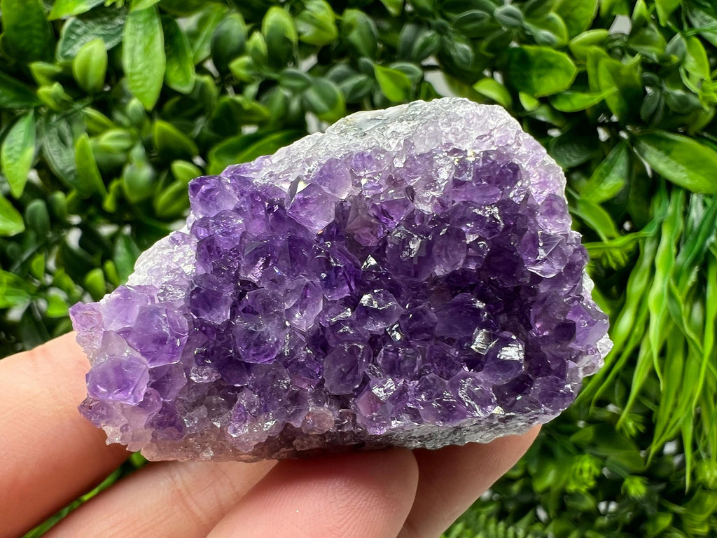 Uruguay Amethyst Crystal: Purple Quartz Phantom - Home Decor