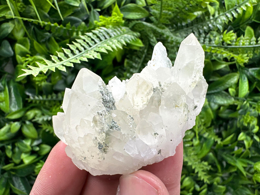 Limonite Quartz with Chlorite Inclusion: Djurcovo Laki Bulgaria Crystal