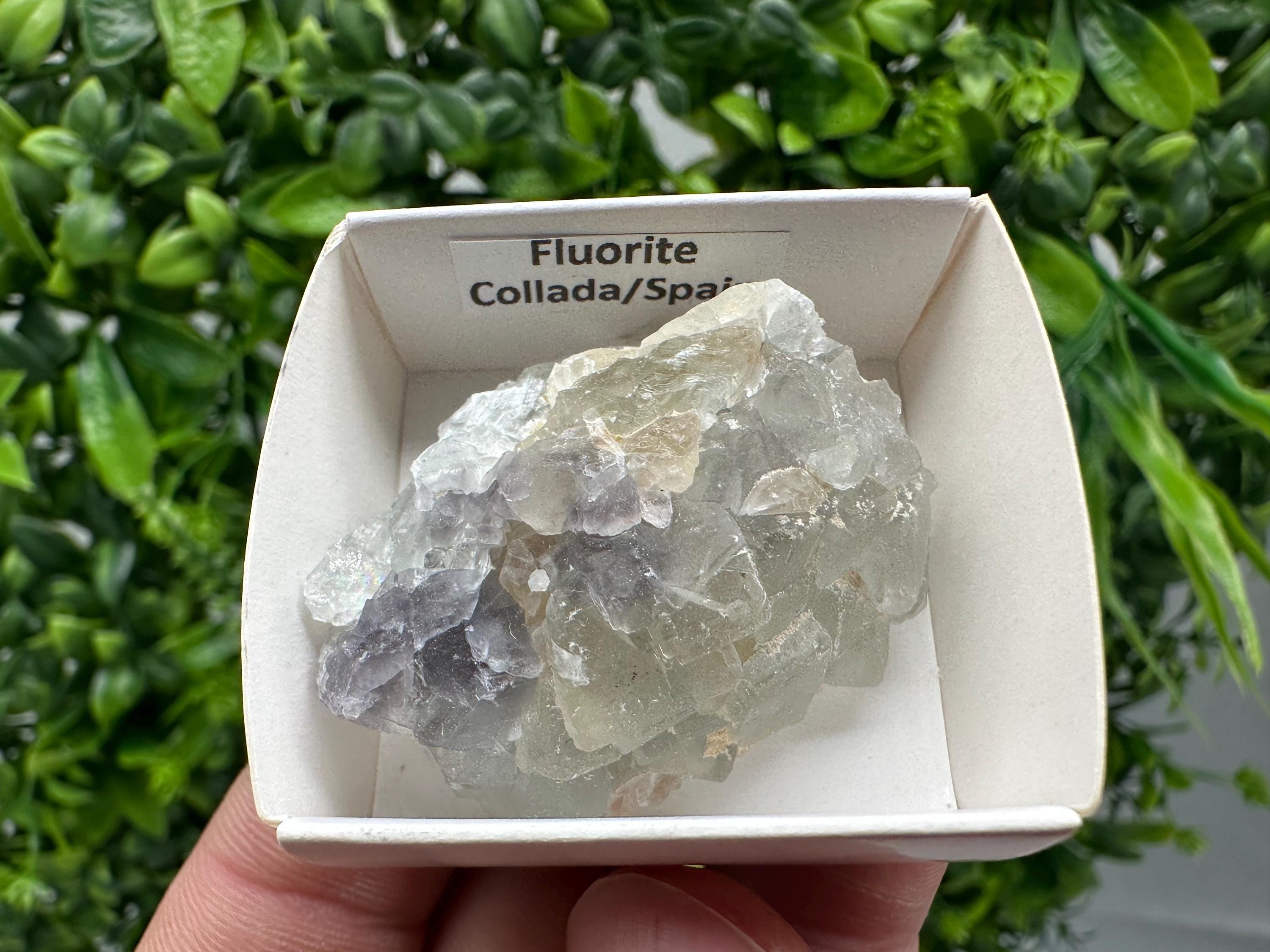 Green Raw Fluorite Cluster: Vintage Meditation Stone (4.5/3.5)
