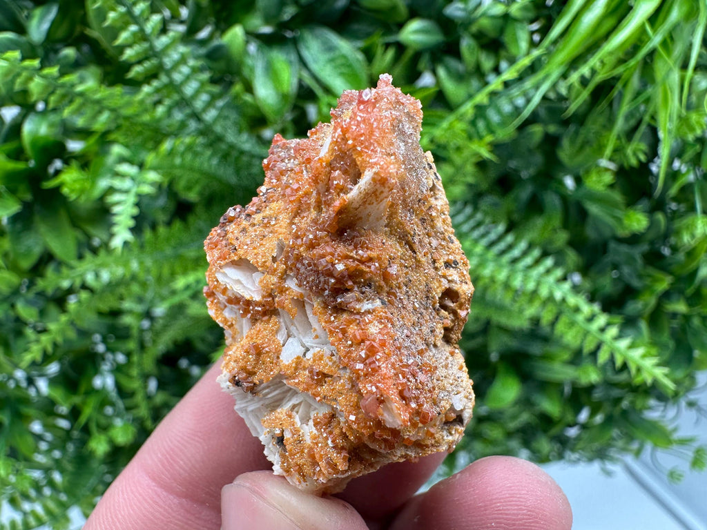 Red Vanadinite Crystal Cluster on Matrix, Morocco Mineral Specimen