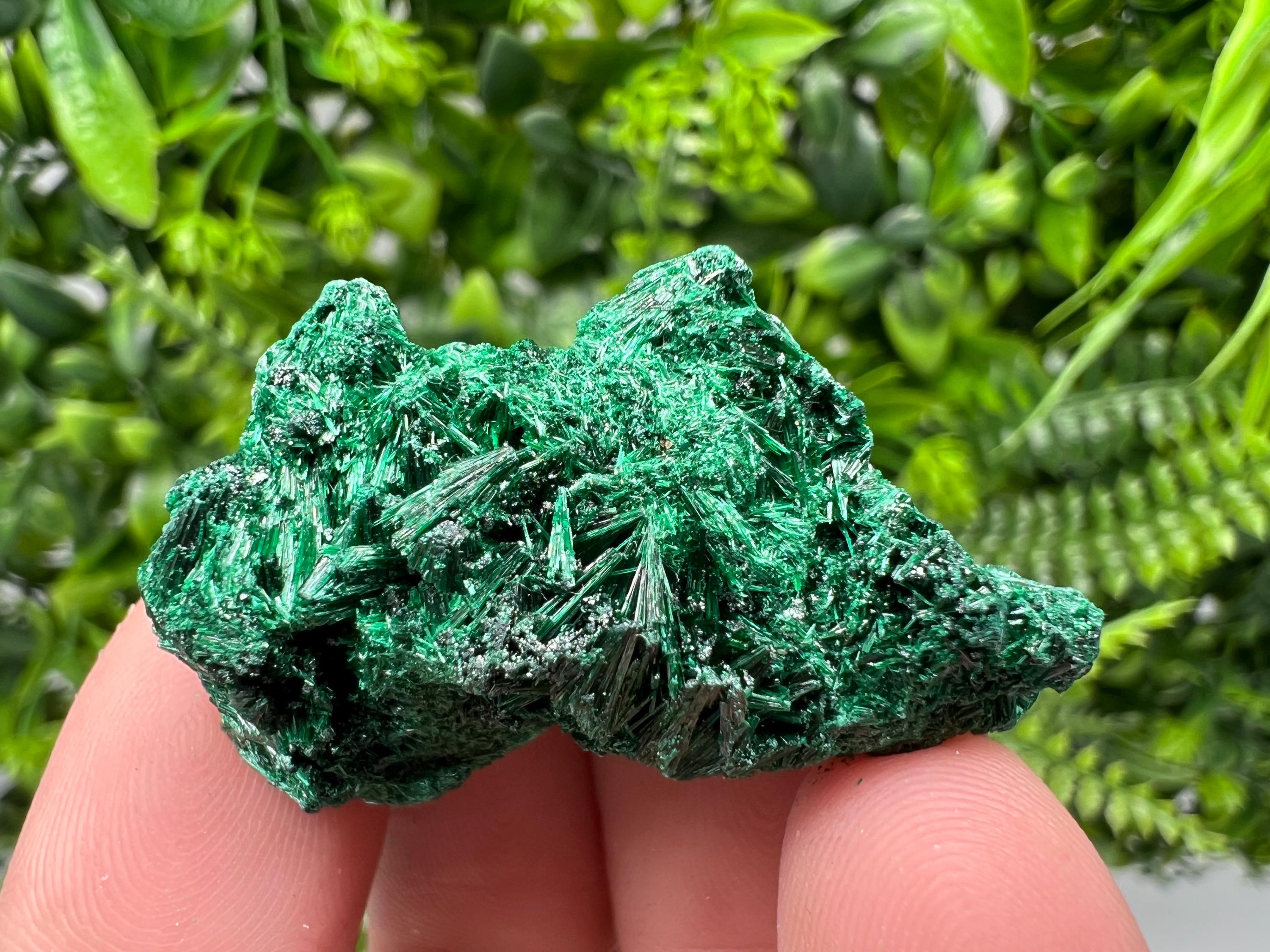 Malachite Crystal from Congo,Minerals,Crystals from Congo,Green Malachite, Malachite,Natural Malachite,Malachite Stone,Chakra, Specimens