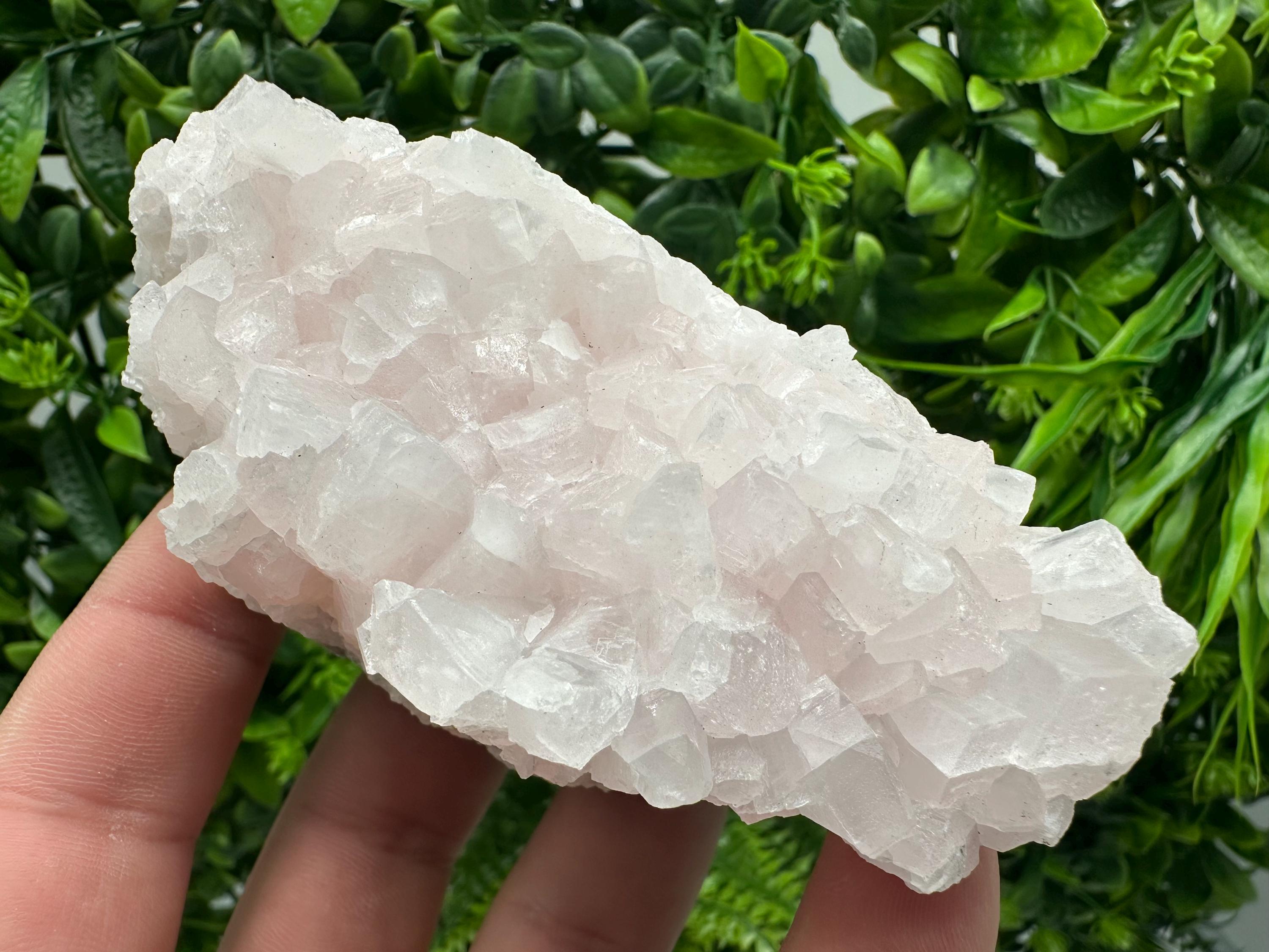 UV Reactive Mangano Calcite Crystal: Androvo Mine, Bulgaria