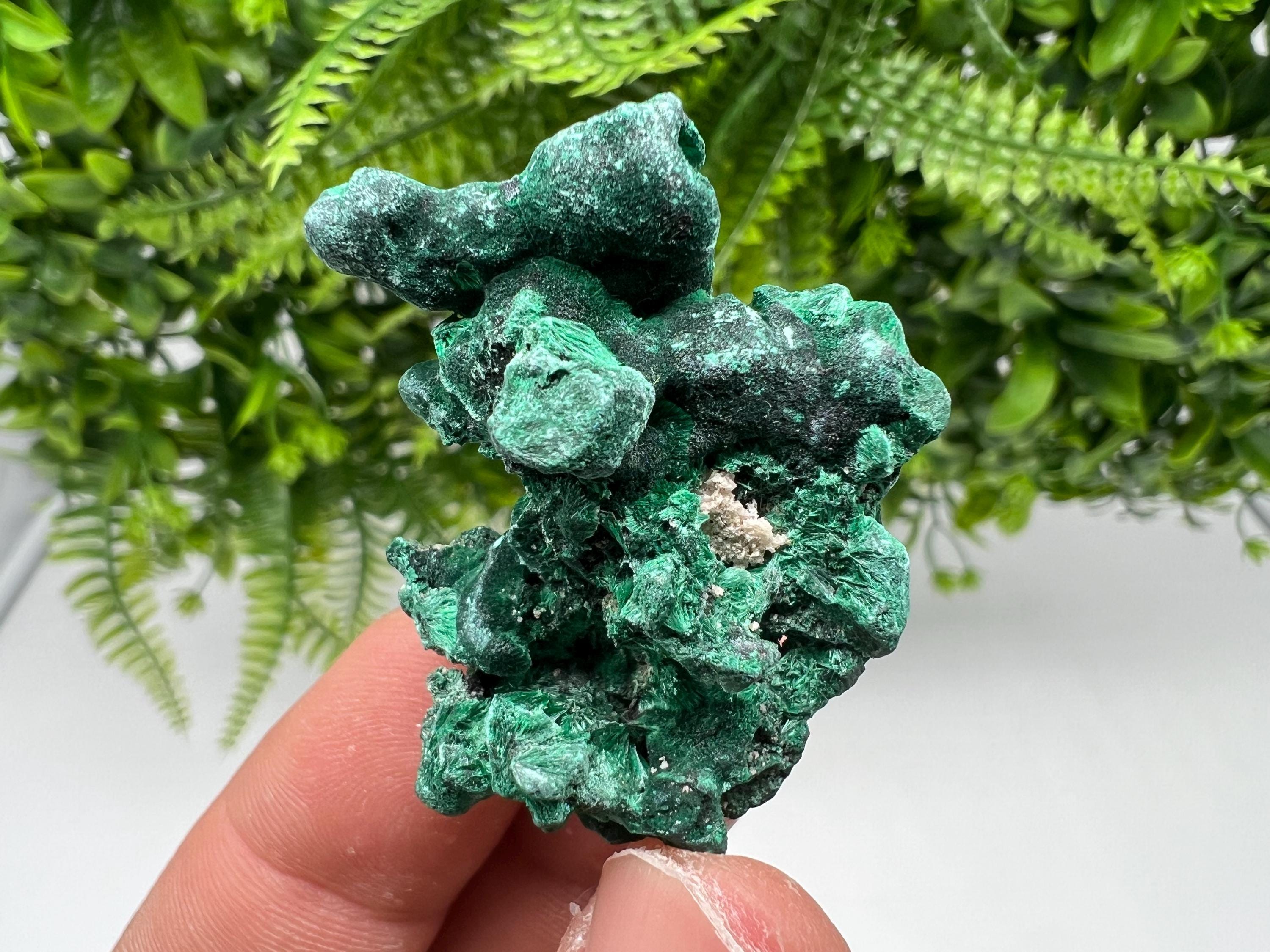Malachite Crystal from Congo,Minerals,Crystals from Congo,Green Malachite, Malachite,Natural Malachite,Malachite Stone,Chakra, Specimens