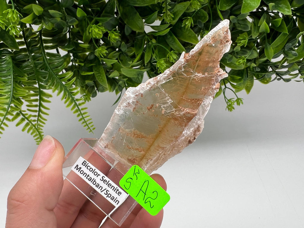 Golden Phantom Selenite Slab: Utah Raw Crystal Wand (4.5/9cm)