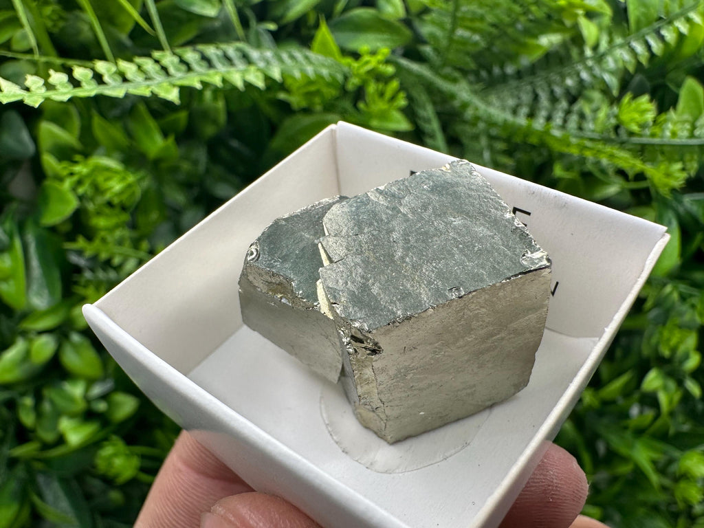 Large Pyrite Cube, Navajun Spain, Shiny Mineral Specimen