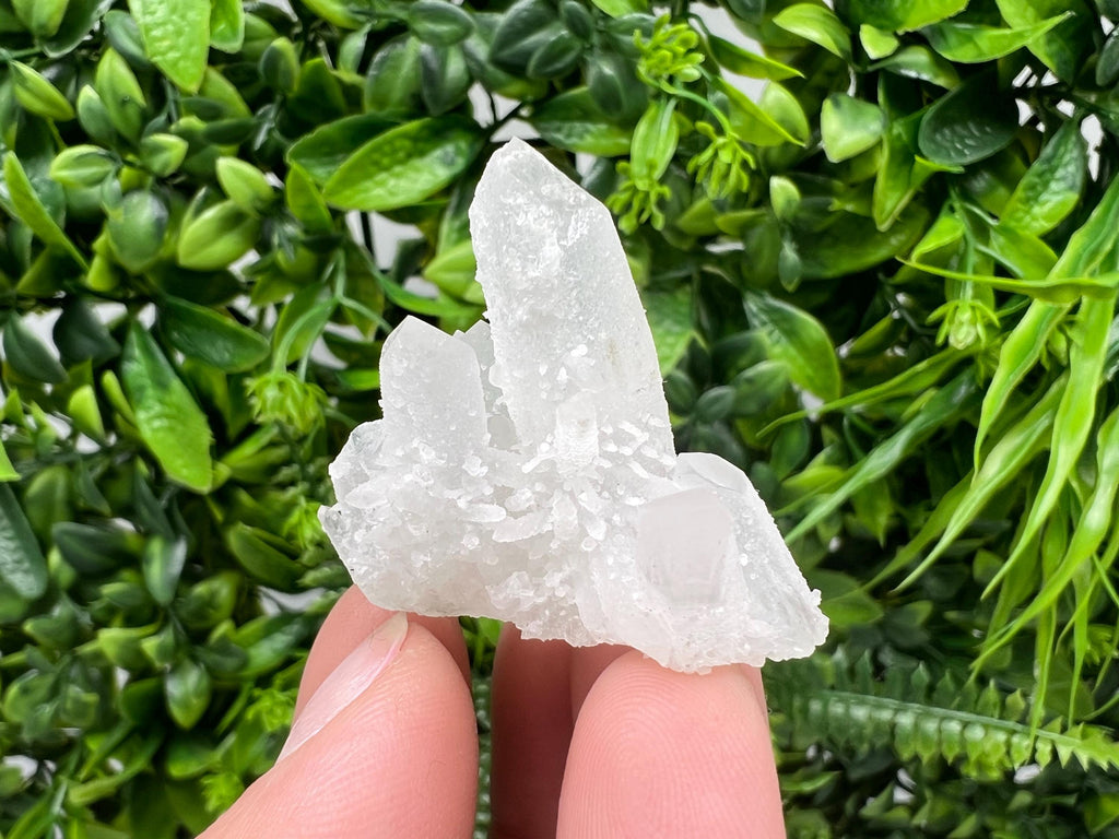Transparent Quartz on Chlorite Matrix, Borieva Mine, Bulgaria