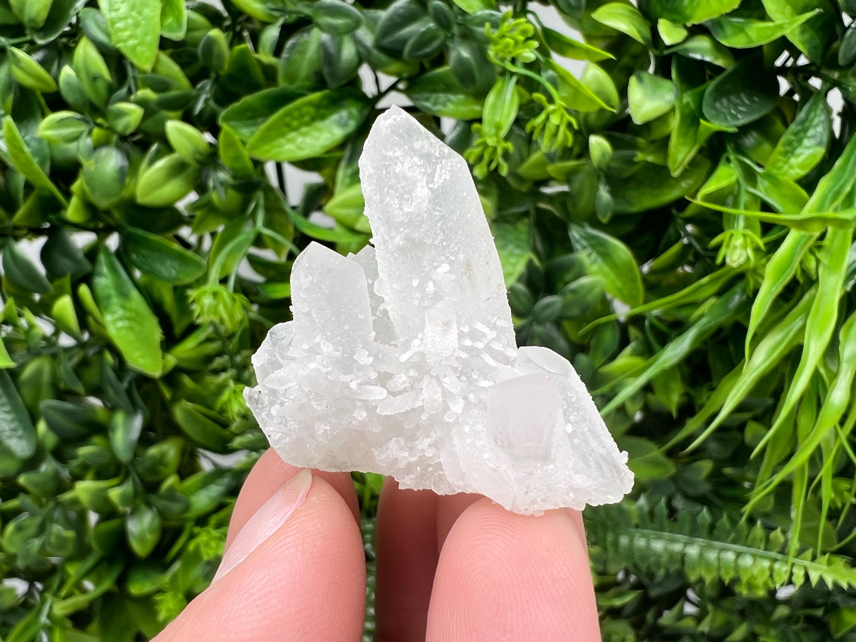 Transparent Quartz on Chlorite Matrix, Borieva Mine, Bulgaria