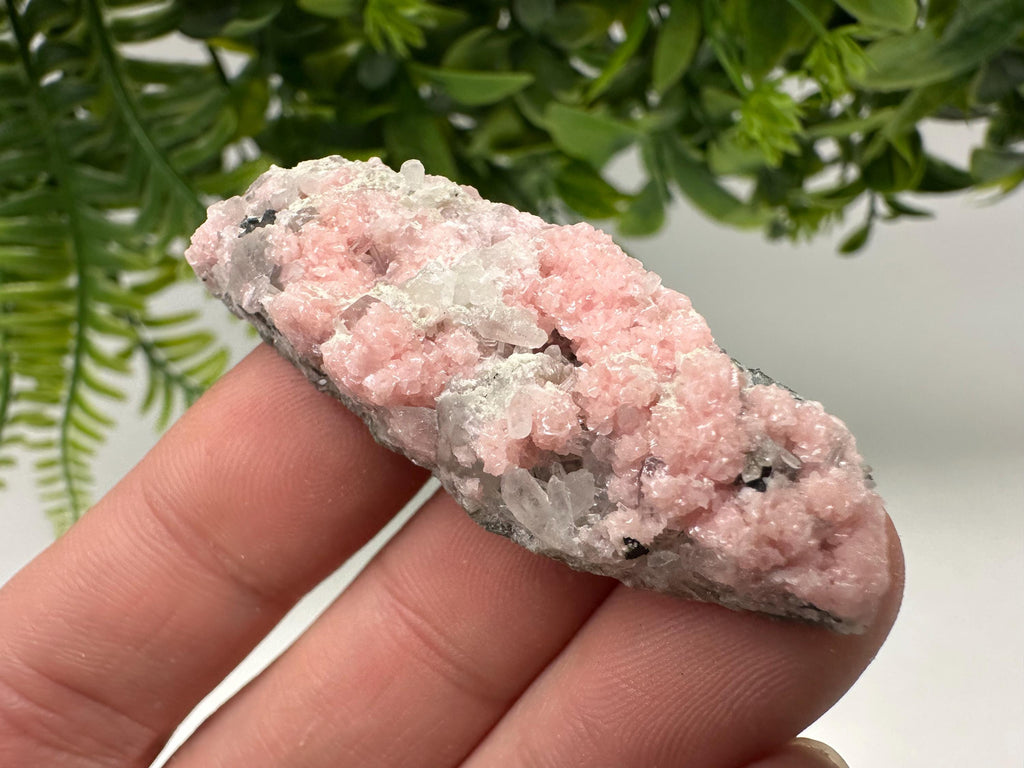 Pink Rhodochrosite Crystal: Starnica Mine, Bulgaria, Home Decor