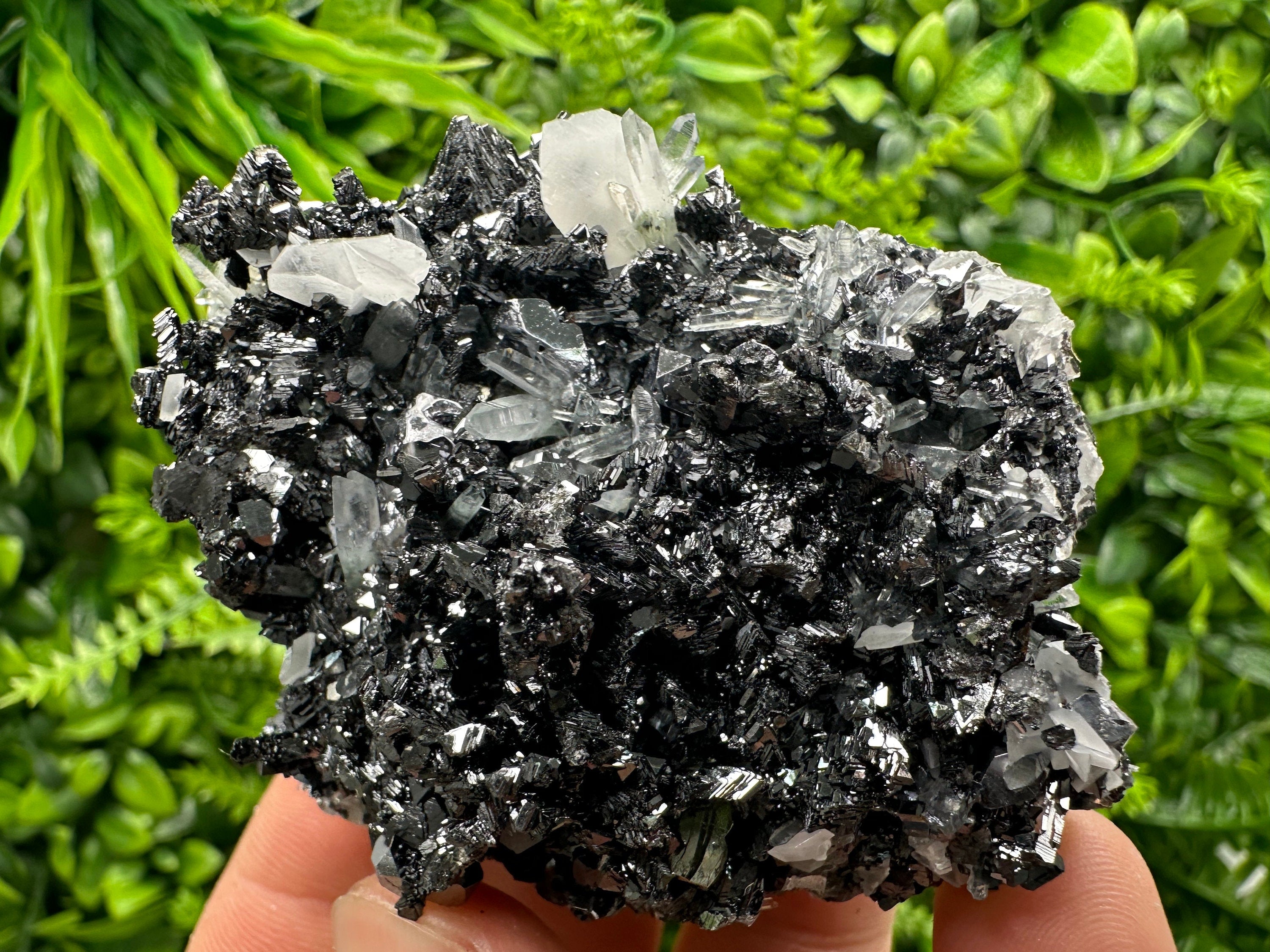 Pyrite Calcite on Sphalerite with Quartz, Bulgaria Mineral Specimen
