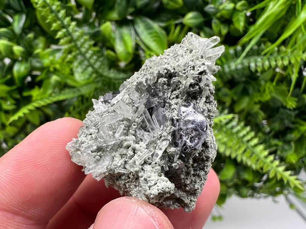 Sphalerite with Chlorite Crystal, Borieva Mine, Bulgaria