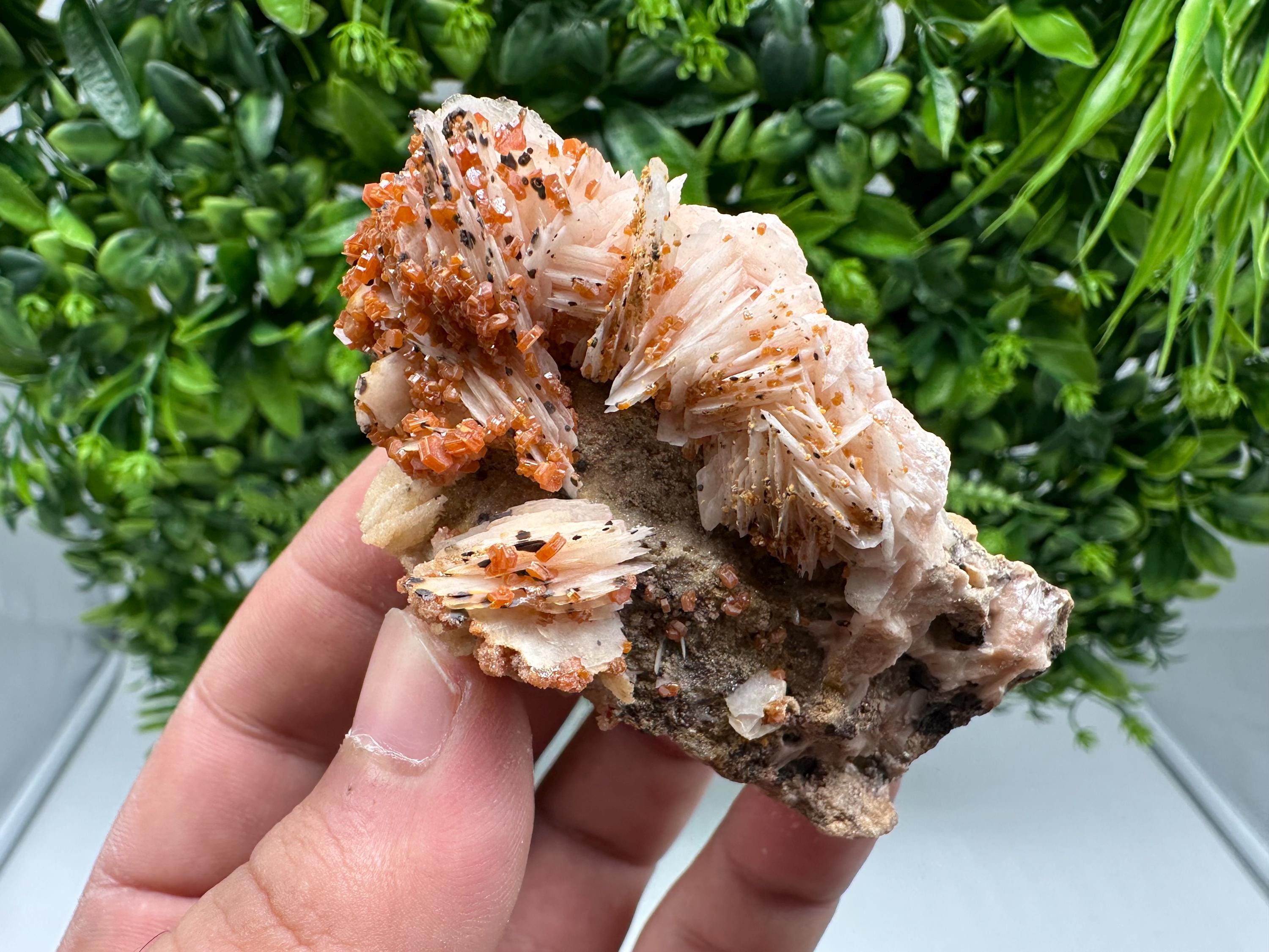 Red Vanadinite on Barite from Marocco,crystal minerals Speciment cluster Vanadinite crystal Vanadinite Geology Vanadinite cluster minerals