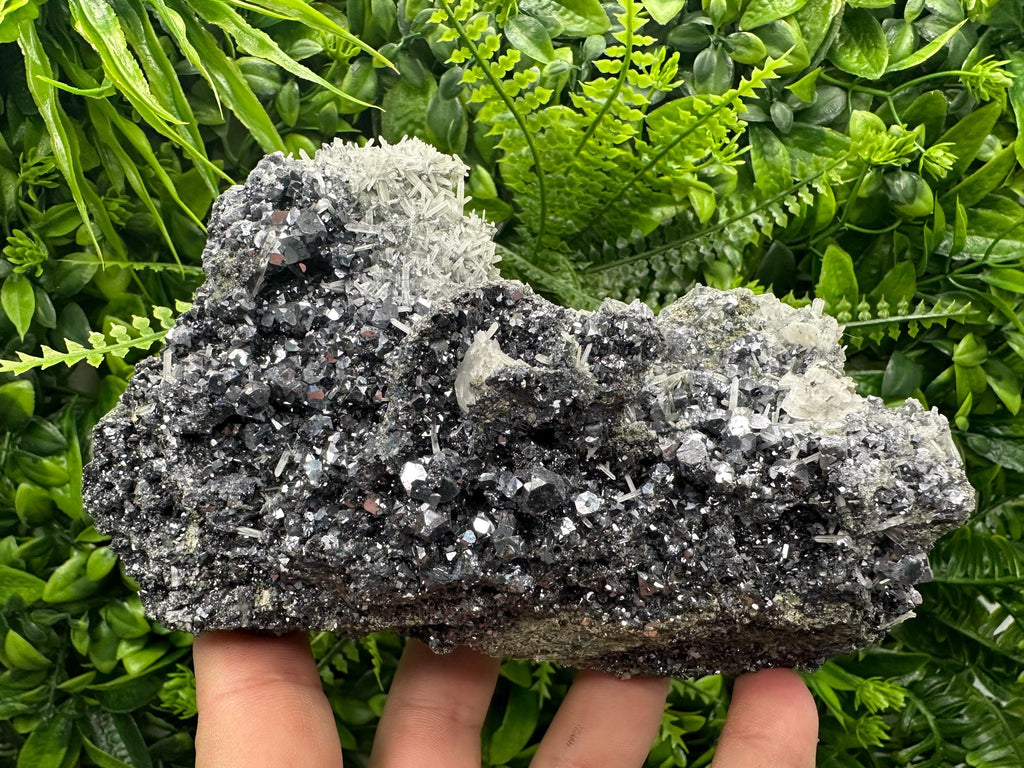 Galena on Sphalerite and Quartz: Borieva Mine, Bulgaria