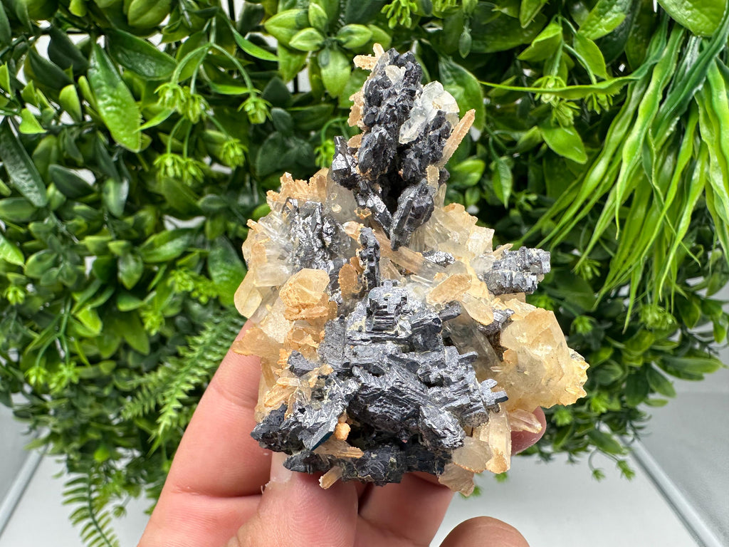 Galena Cluster with Siderite and Quartz: 9th September Mine, Bulgaria