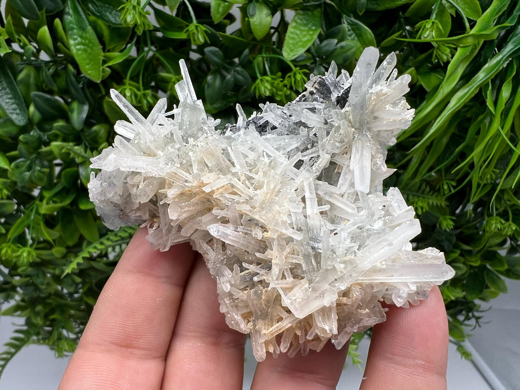 Quartz with Sphalerite Cluster, Krushev dol Bulgaria