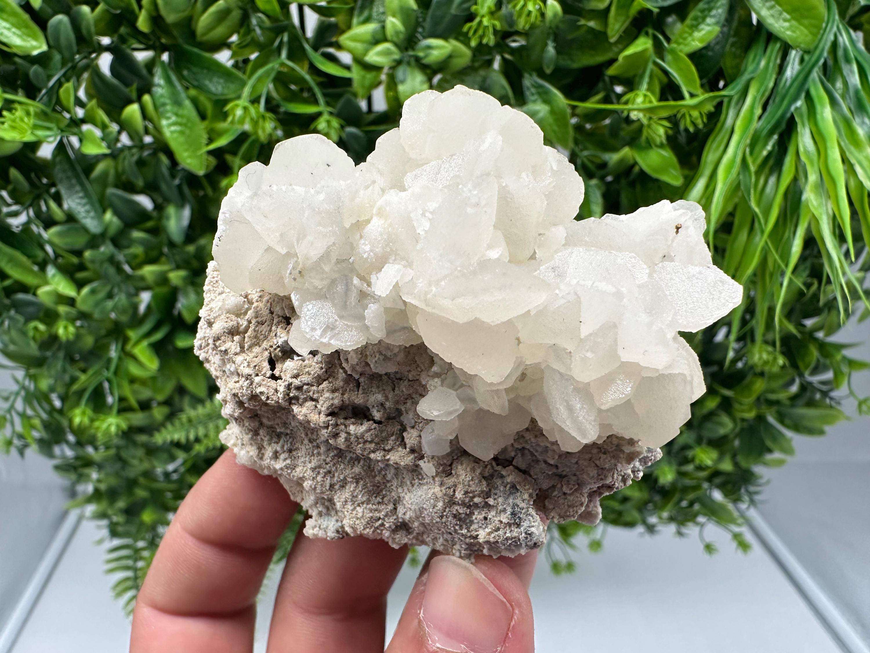 Rare Calcite Cluster on Matrix, Bulgaria Mineral Specimen, Home Decor