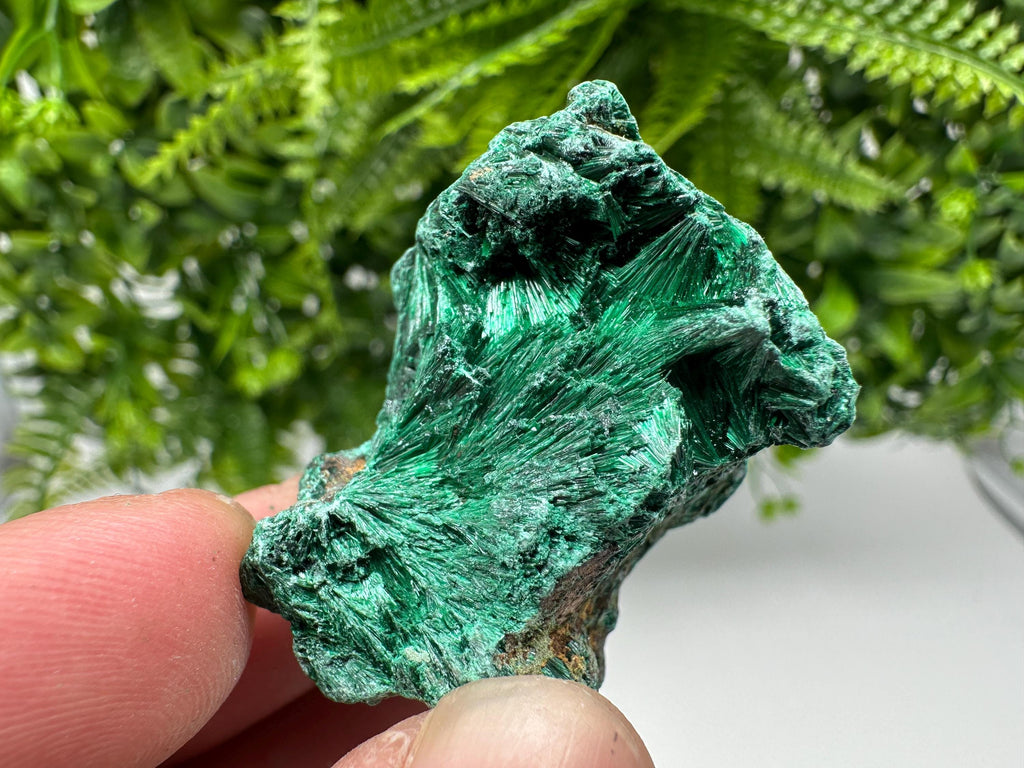 Green Polished Malachite Crystal Specimen from Congo