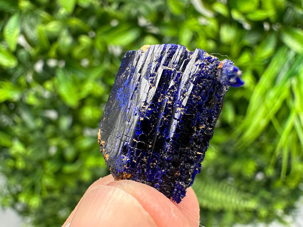 Crystallized Azurite-Kerrouchen,Morocco-Blue Azurite Specimen-High Quality Blue Azurite-Azurite Mineral Specimen, gemmy,lustrous of Azurite