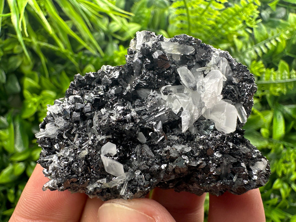 Black Sphalerite Cluster: Natural Mineral Souvenir, Borieva Bulgaria