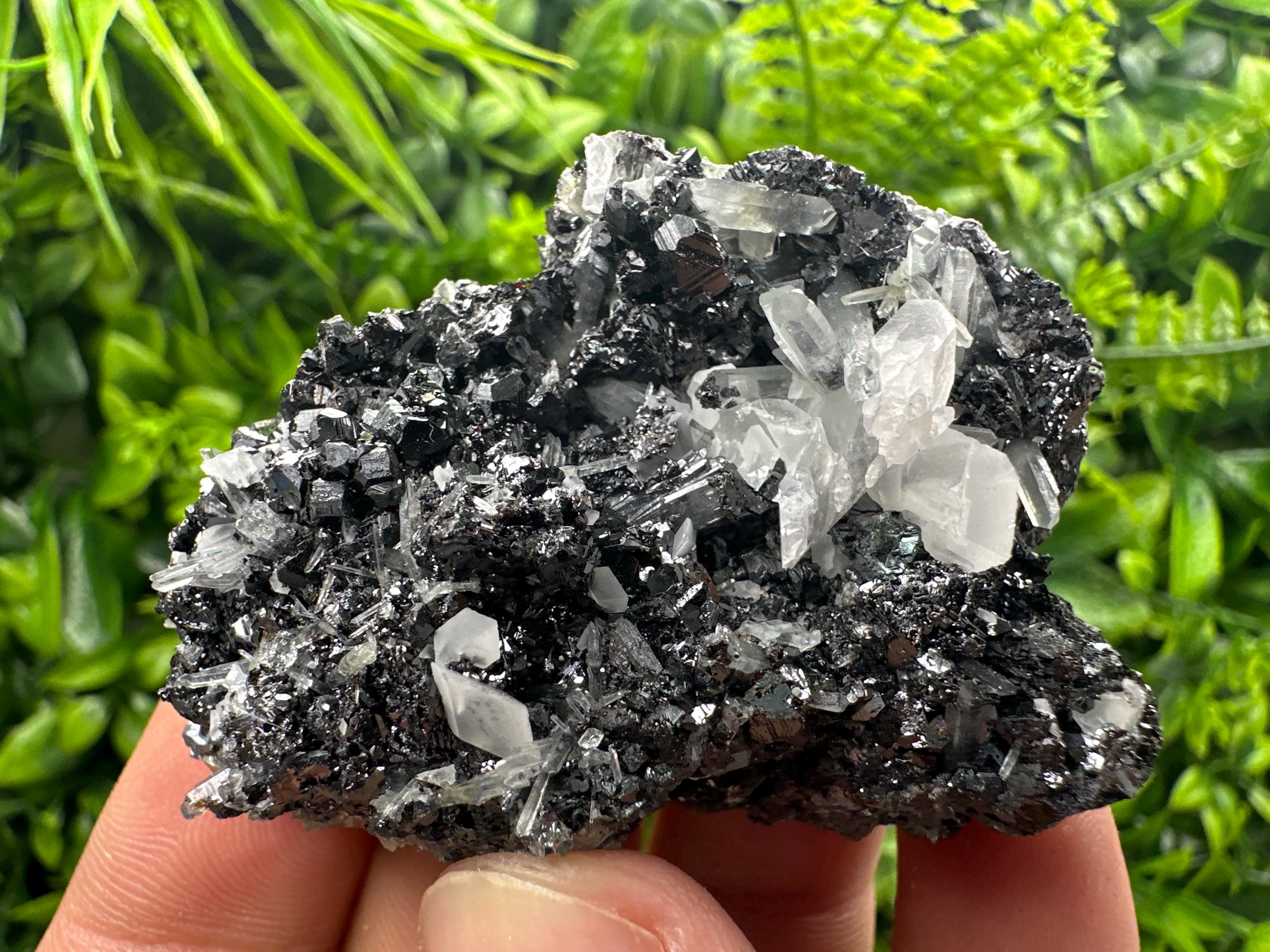 Black Sphalerite Cluster: Natural Mineral Souvenir, Borieva Bulgaria