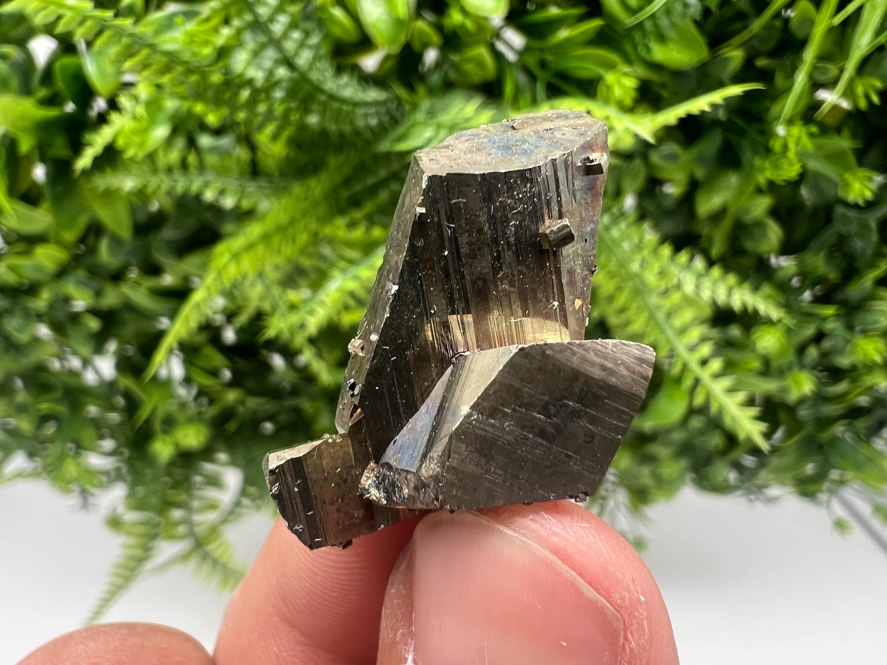 Mini Rainbow Pyrite Cluster: Borieva Mine, Bulgaria